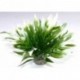 SYDECO Plante artificielle Aquatic Leaves H:12cm