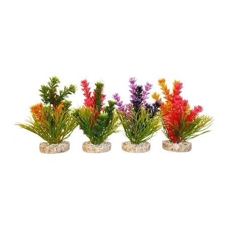 SYDECO Plantes artificielles Magic Fiesta Colours H:16cm (12pcs)