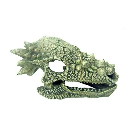 AMTRA Dragon Crâne 15,3x10x8cm