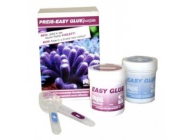 PREIS Easy glue purple 2 x 100 grs