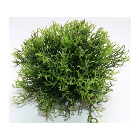 SYDECO Plante artificielle Green Moss XL H:12cm