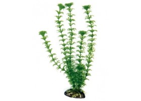 AMTRA Plante plastique CABOMBA H:18cm