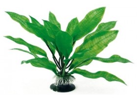 AMTRA Plante plastique ECHINODORUS H:27cm