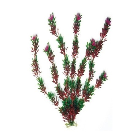 AMTRA Plante artificielle Bicolore H:12cm