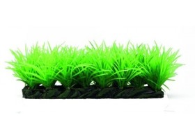HOBBY Plante grassy stone 8,5x3,5x3cm