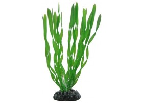 HOBBY Plante Plastique vallisneria 20cm