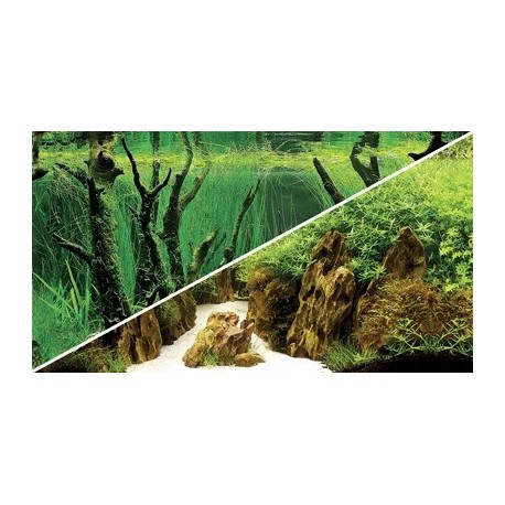 HOBBY Poster canyon / woodland 100x50cm - double face