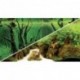 HOBBY Poster canyon / woodland 120x50cm - double face