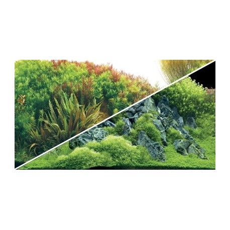 HOBBY Poster Planted river / Green roches 100x50cm - double face