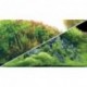 HOBBY Poster Planted river / Green roches 120x50cm - double face