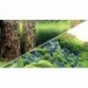 HOBBY Poster Scaper's hill / Scaper's forest 0,3x25m - double face