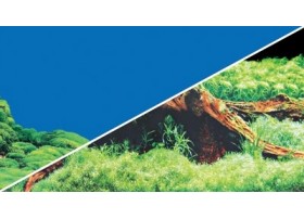 HOBBY Poster spring / moss  0.6x25m df