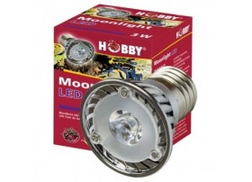 HOBBY Ampoule moonlight led 3w