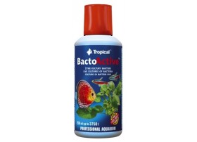 BACTO ACTIVE 250ml