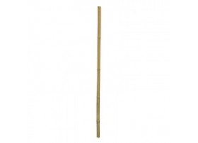 HOBBY Bamboo stix 100cm diamètre 2/3cm