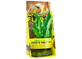 ZOOMED Plante artificielle Naturalistic Bird's Nest Fern 20cm