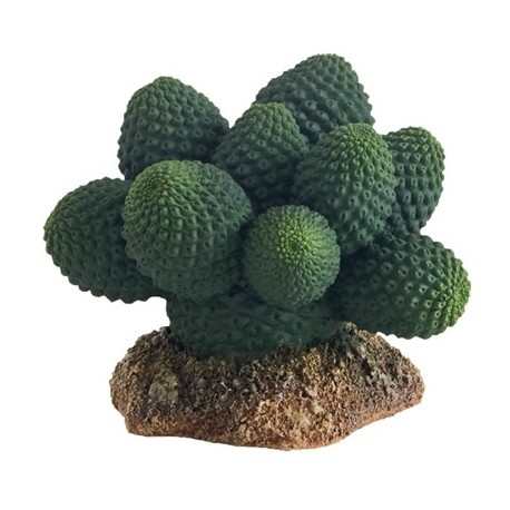 HOBBY Cactus Atacamma 7cm