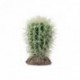HOBBY Cactus Great Basin - 8 x 8 x 12,5cm