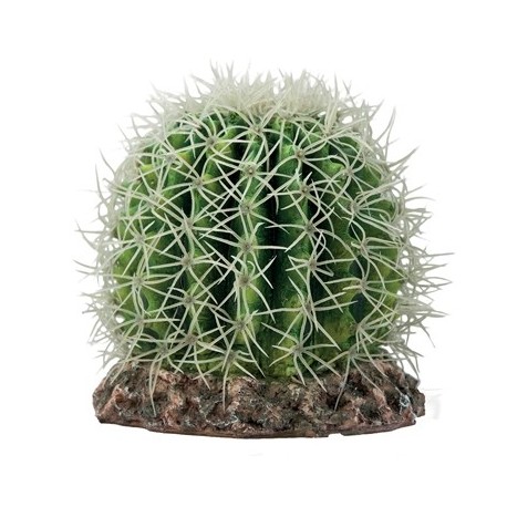 HOBBY Cactus Sonora M - 15 x 15 x 13cm