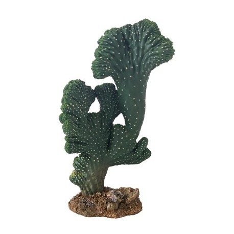 HOBBY Cactus Victoria - 22cm