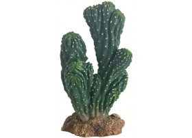 HOBBY Cactus Victoria - 19cm
