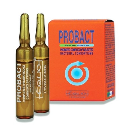 EQUO Probact 5ml 6 ampoules