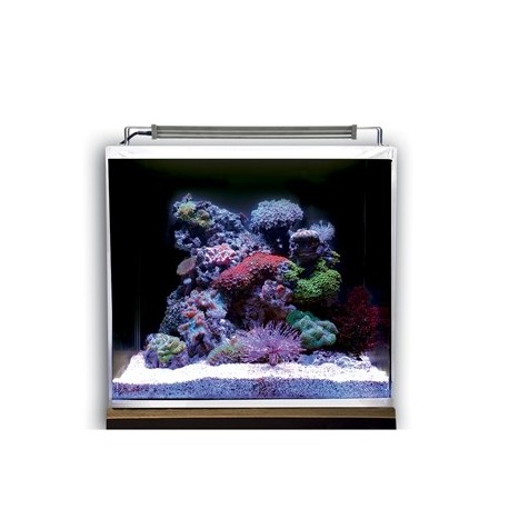 DUPLA Aquarium Nano Ocean Cube 50 Set (Vendu Sans Écumeur)