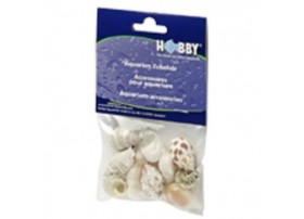 HOBBY Coquilles Sea Shells Set M (10pcs)