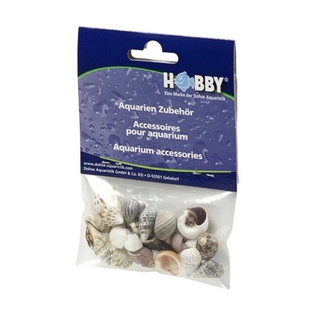 HOBBY Coquilles Sea Shells Set S (20pcs)