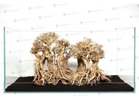 AD Layout Forest L L60 X H40Cm