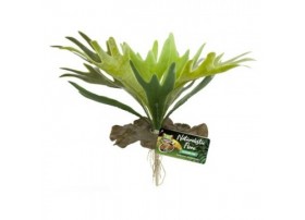 ZOOMED Plante artificielle Naturalistic Staghorn Fern