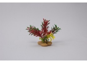 SCALARE Plant H:10cm