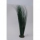 SCALARE Plant H:46cm
