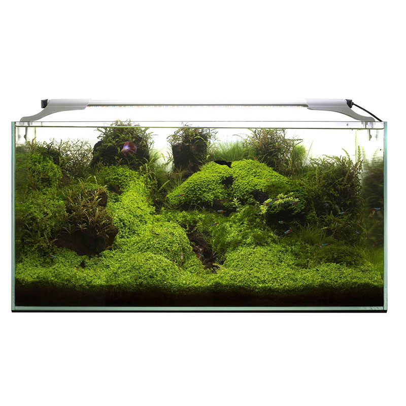 AquaLighter Slim 60cm - Éclairage LED pour aquarium Eau Douce