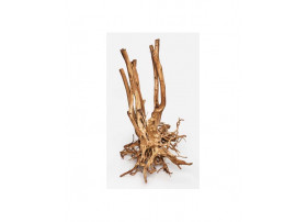 Wood Stump 60-150cm (prix au kilo)