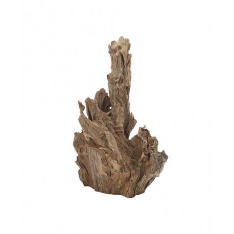 HOBBY Racine Crown Wood XL 40-60cm
