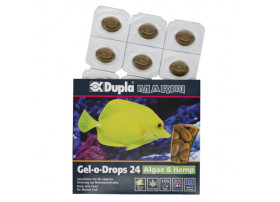 DUPLA GEL-O-DROPS 24 Algue & Chanvre (12x2g)