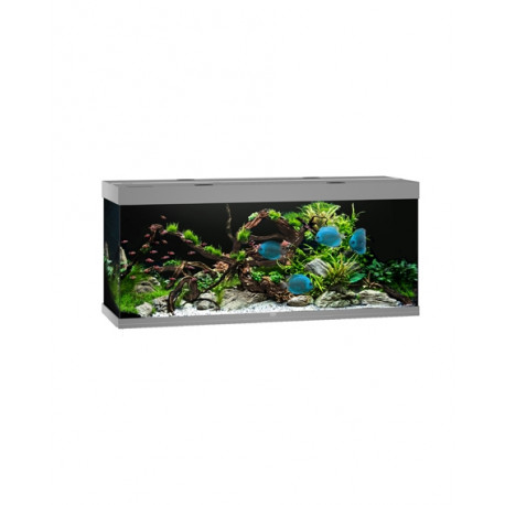juwel Aquarium équipé RIO 450 LED gris