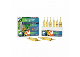 BioDigest 6 ampoules