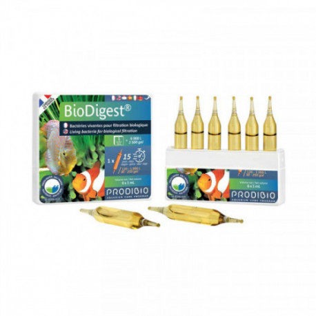 BioDigest 6 ampoules