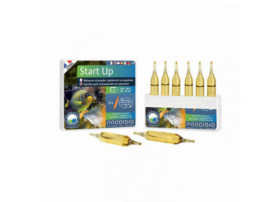 Start Up 6 ampoules