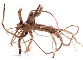 Racine Red Moor Roots L (45-65 cm)