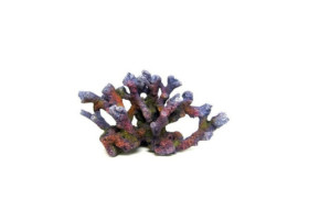 AMTRA REEF Rock Branch Series MD1 23.5x9.5x12.8cm