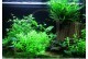 Layout 60 (125L) by Tropica